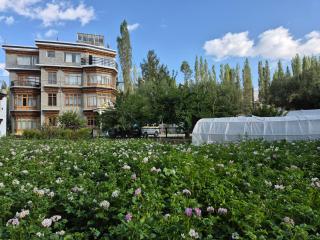 Hotel Reenam - Leh - 1