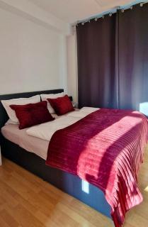 Ferienwohnung Nähe Stadtpark, 4 Schlafzimmer, Terrasse, Parkplatz - Wohnung 2 - Erfurt - 9