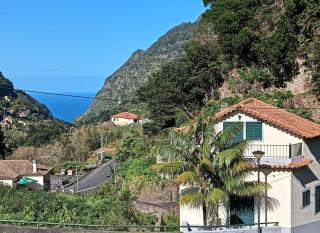Palm Comfort - São Vicente - 0