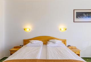Hotel Casa Viorel jacuzzi & saunas - Poiana Brasov - 5