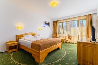 Hotel Casa Viorel jacuzzi & saunas - Poiana Brasov - 6