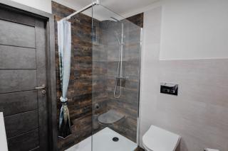 Tavba -Gočár až 27 osob, 8 apartmánů,8 koupelen, 8 kuchyní na kraji lesa - 1