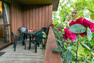 Pine Tree Lodge - Minehead - 7