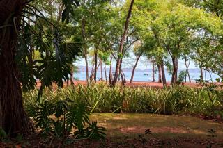 El Mangroove Papagayo, Autograph Collection - Papagayo, Guanacaste - 7