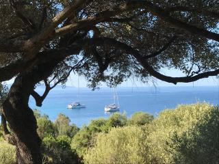 Résidence Capizzolu - 5