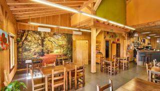 Camping El Roble Verde - 2