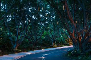 Wailea Beach Resort - Marriott, Maui - Wailea - 2