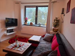 Ferienwohnung Haus Schöneck - 8