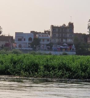 Nile House Anis & Do - 1