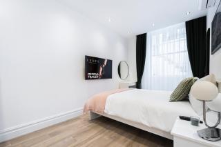Luxury 2 Bedroom Apartment in Central London - Londra - 1