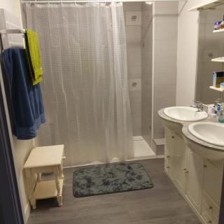 Appartement T2 - Albi - 1