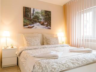 Zen Life Luxury Apartment - Herastrau - Bucharest - 9