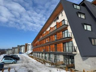 Your Perfect Ski Base in Bakuriani - Bakuriani - 7