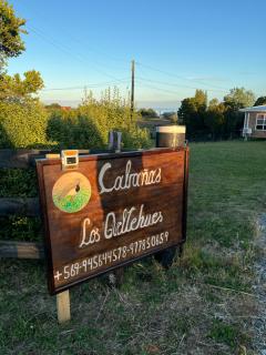 Cabañas Los Queltehues - 7