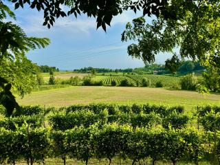 Residenza Le Vigne - 0