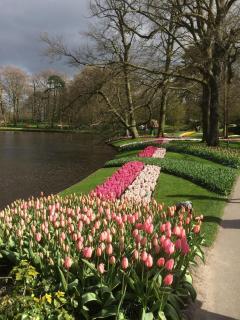 Bed and Breakfast Ineke en John - 5