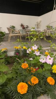 July Chalet with Heated Pool - Nizwa - 2