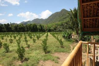 Camp Irog Daraitan - 1