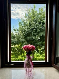 Residenza Le Vigne - 9