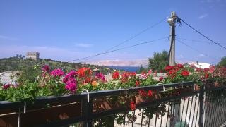 Apartments and rooms Bionda - Senj - 2