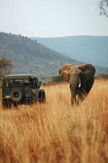 Topi Tours - Namulanda - 1