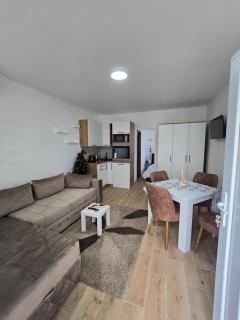 Apartman Kocić - 1