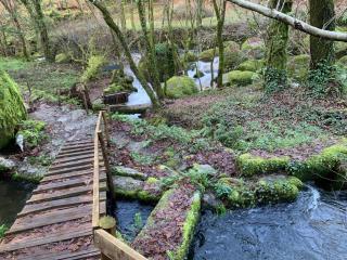 Villa Bessa Nature & Spa - 4