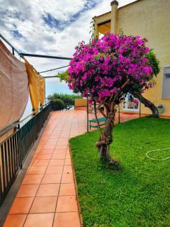 Luxury Casa Vacanze Vista Mare ad Acciaroli - Agnone - 5