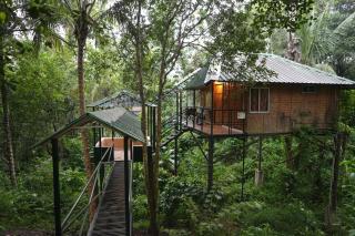 Coffee Land Retreat - Sultan Bathery - 5