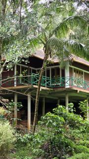 Coffee Land Retreat - Sultan Bathery - 4