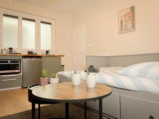 Le pédestre - Appartement cosy hyper centre-ville de DIJON - Dijon - 2
