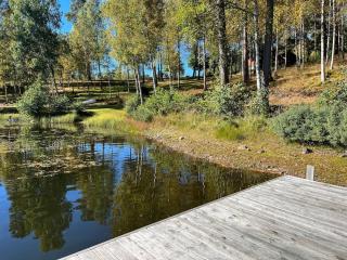 Lake Villa in Kungsäter - Kungsäter - 0