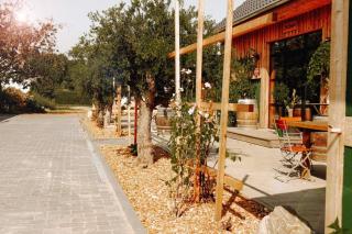 Ferienwohnungen am Scharmützelsee - Diensdorf-Radlow - 9