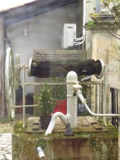 Les vieux platanes - Rouillac - 7
