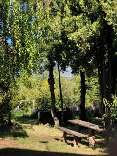 Refugio Medio Camping y Hostel - 1