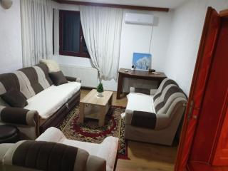 Grand AC Residence with Garden & Parking - Sarajevo - 7
