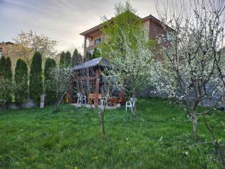 Grand AC Residence with Garden & Parking - Sarajevo - 5