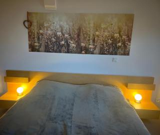 Wohnen in der alten Max Selbmann Villa - 7