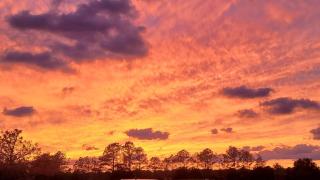 Blanchard Farm - Diggs - 4