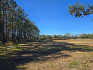 Blanchard Farm - Diggs - 9