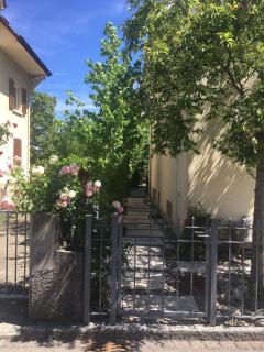 Apartment near St Jakobpark - Muttenz - 3