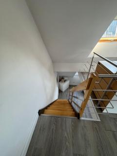 City Apartments am Rhein - Bonn - 6