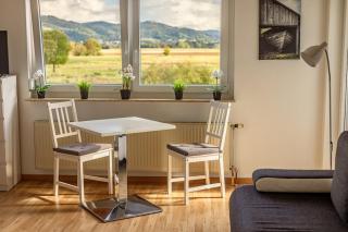Pension Nickel Ferienwohnung DG Am Holzlachgraben - Alsbach-Hähnlein - 4