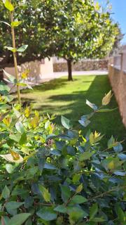 Antares Apartments - Cavtat - 9