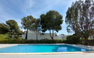 Joli studio piscine Cat - 4