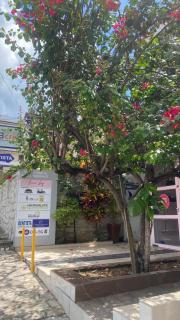 Pousada Bougainville - Guarabira - 5
