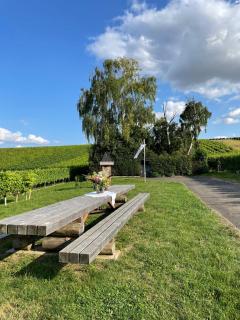 Gästehaus Rebstock im Weingut Schrauth-Becker - - 9