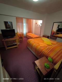 Vila LIZ - Predeal - 5