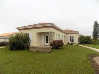 Saint Georges de Didonne - MAISON de CARACTERE avec GRAND JARDIN - excentré - Saint-Georges-de-Didonne - 0