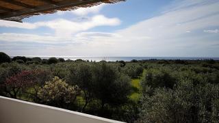 Villa Francesco Country Seaside - Cala Liberotto - 4